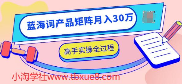 2020最新无货源店群项目，蓝海词产品矩阵月入30万，高手实操全过程（视频教程）-千木学社