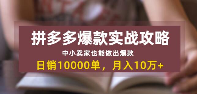 拼多多爆款实战攻略：中小卖家也能做出爆款，日销10000单月入10w+-千木学社