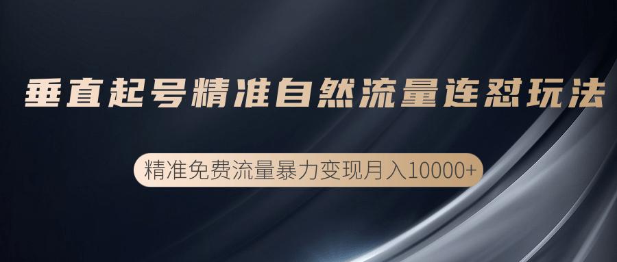 垂直起号精准自然流量连爆玩法，精准引流暴力变现月入10000+-千木学社