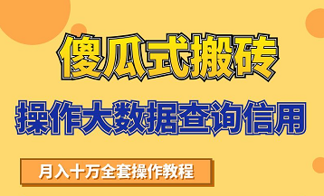 搬砖操作大数据查询信用项目赚钱教程，祝你快速月入6万-千木学社