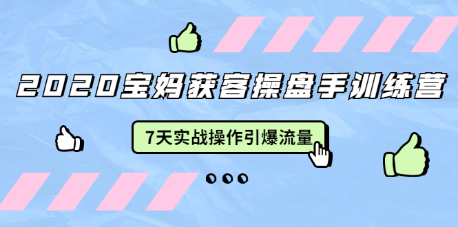 2020宝妈获客操盘手训练营：7天实战操作引爆 母婴、都市、购物宝妈流量-千木学社