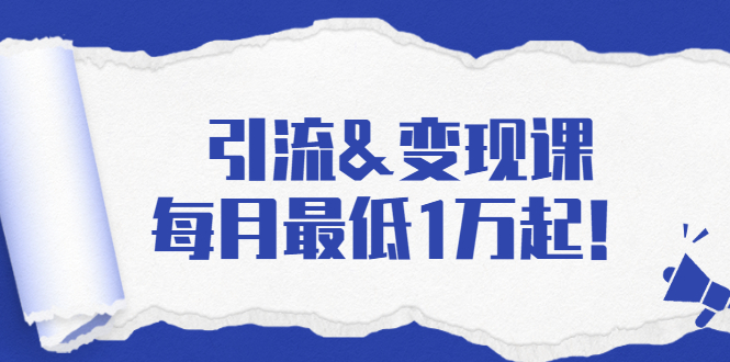 引流&变现课：分享一整套流量方法以及各个渠道收入，每月最低1万起！-千木学社