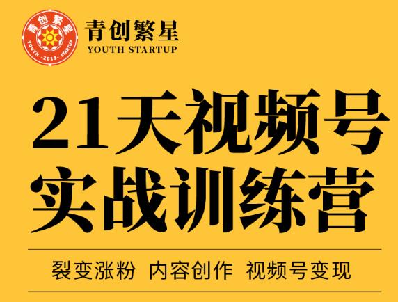 张萌21天视频号实战训练营，裂变涨粉、内容创作、视频号变现 价值298元-千木学社