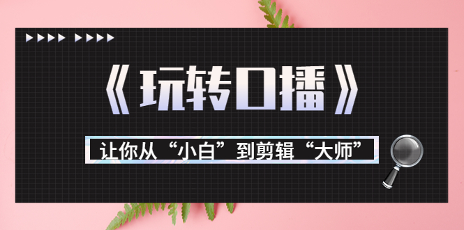 月营业额700万+大佬教您《玩转口播》让你从“小白”到剪辑“大师”-千木学社