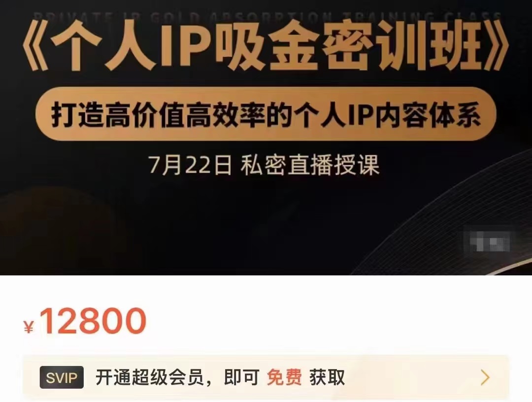 个人IP吸金密训班，打造高价值高效率的个人IP内容体系（价值12800元）-千木学社
