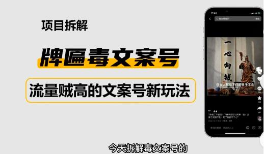 2023抖音快手毒文案新玩法，牌匾文案号，起号快易变现-千木学社