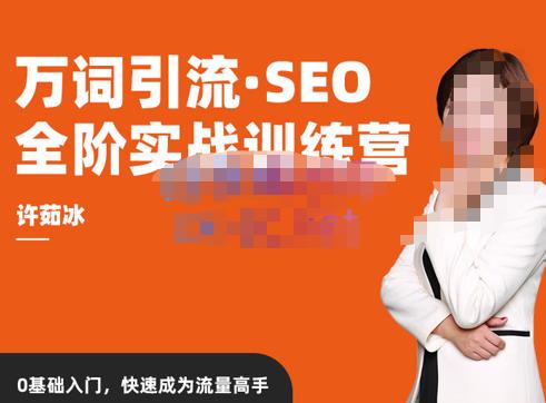 许茹冰·万词引流-SEO全阶实战训练营，0基础入门，快速成为流量高手-千木学社