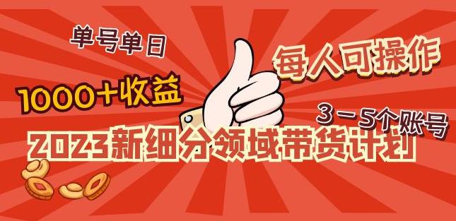 2023新细分领域带货计划：单号单日1000+收益不难，每人可操作3-5个账号-千木学社