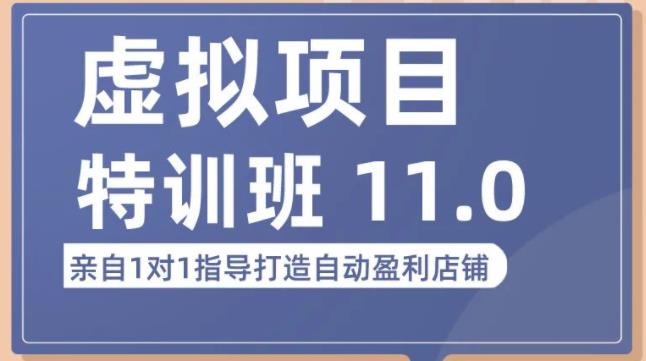 陆明明·虚拟项目特训班（10.0+11.0），0成本获取虚拟素材，0基础打造自动盈利店铺-千木学社