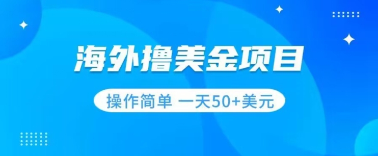 撸美金项目无门槛操作简单小白一天50+美刀-千木学社