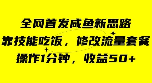 咸鱼冷门新玩法，靠“技能吃饭”，修改流量套餐，操作1分钟，收益50【揭秘】-千木学社