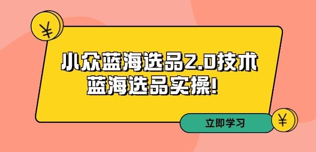 拼多多培训第33期：小众蓝海选品2.0技术-蓝海选品实操！-千木学社