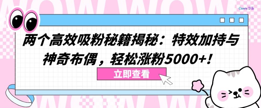 两个高效吸粉秘籍揭秘：特效加持与神奇布偶，轻松涨粉5000+【揭秘】-千木学社