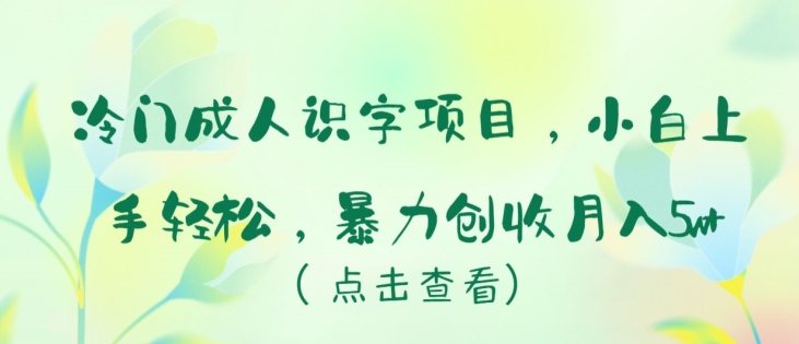 冷门成人识字项目，小白上手轻松，暴力创收月入5w+【揭秘】-千木学社