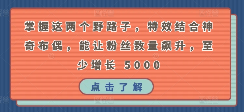 掌握这两个野路子，特效结合神奇布偶，能让粉丝数量飙升，至少增长 5000【揭秘】-千木学社