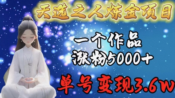 天选之人炼金项目，一个作品涨粉5000+，单号变现3.6w【揭秘】-千木学社