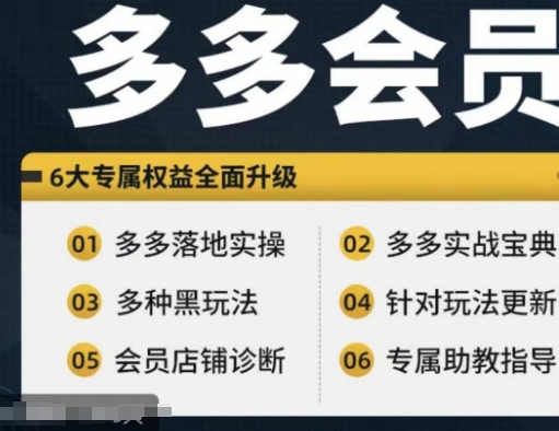 拼多多会员，拼多多实战宝典+实战落地实操，从新手到高阶内容全面覆盖-千木学社