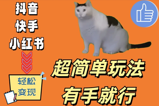 超简单玩法，有手就行，靠猫咪视频日入500+【揭秘】-千木学社