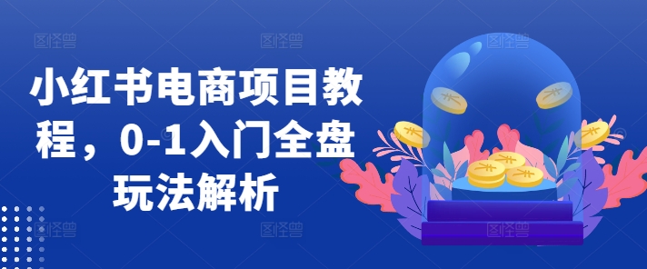 小红书电商项目教程，0-1入门全盘玩法解析-千木学社