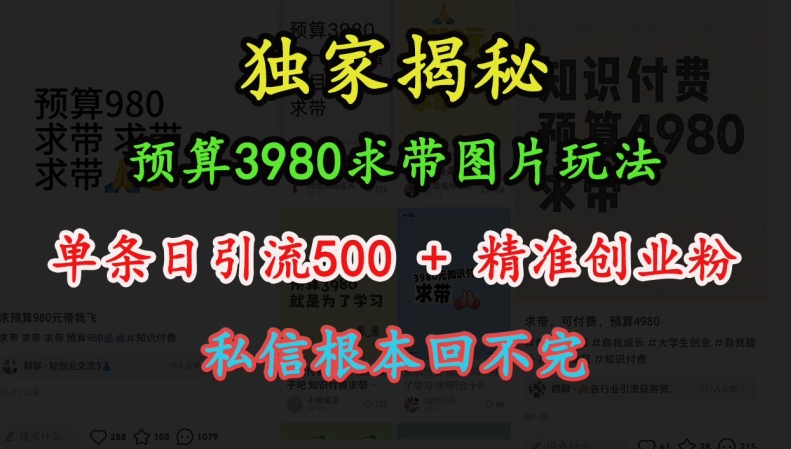 预算3980求带 图片玩法，单条日引流500+精准创业粉，私信根本回不完-千木学社